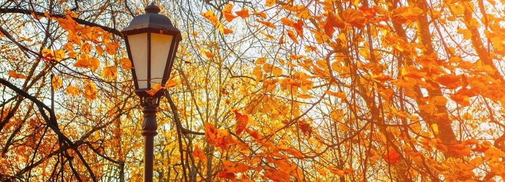 A lamp post surrounded by trees in fall.