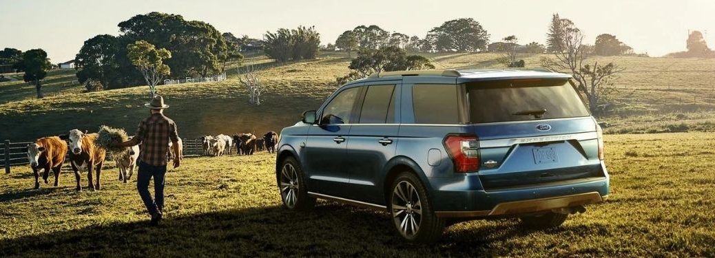 The 2021 Ford Expedition in the field with a man.
