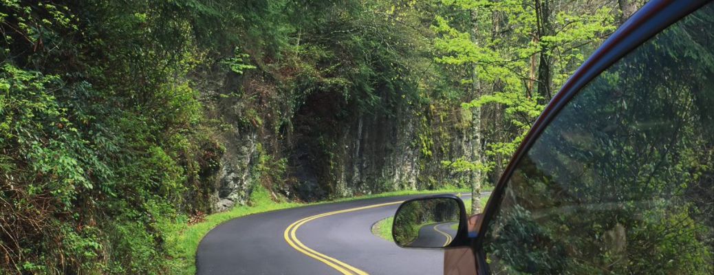 Road leading to a forest