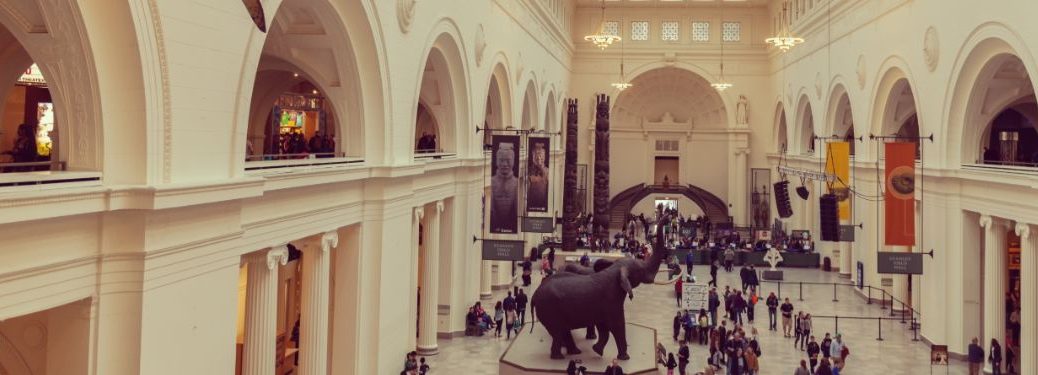 image of inside a museum