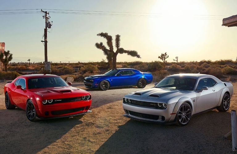 Several 2021 Dodge Challenger