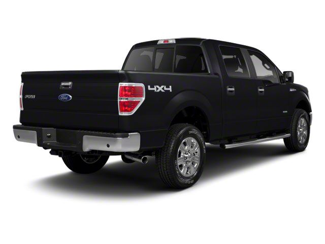 2010 Ford F-150 Platinum