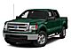 2013 Ford F-150  Fond du Lac WI