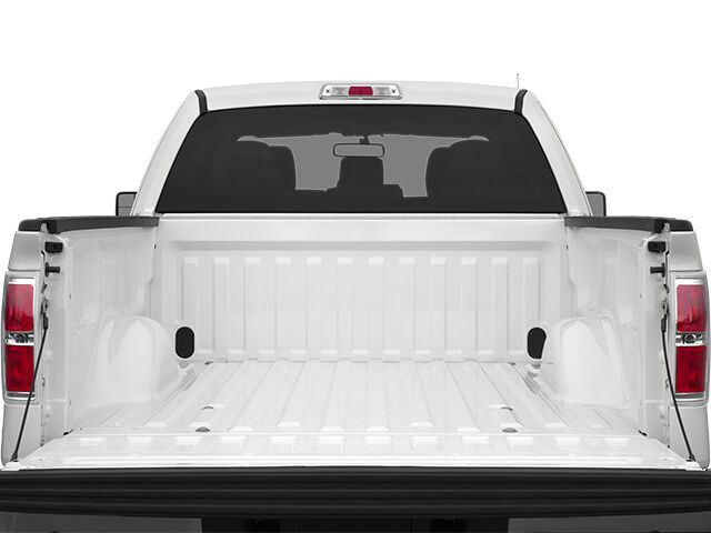 2014 Ford F-150 XLT Austin TX