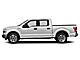 2015 Ford F-150 XLT Bozeman MT