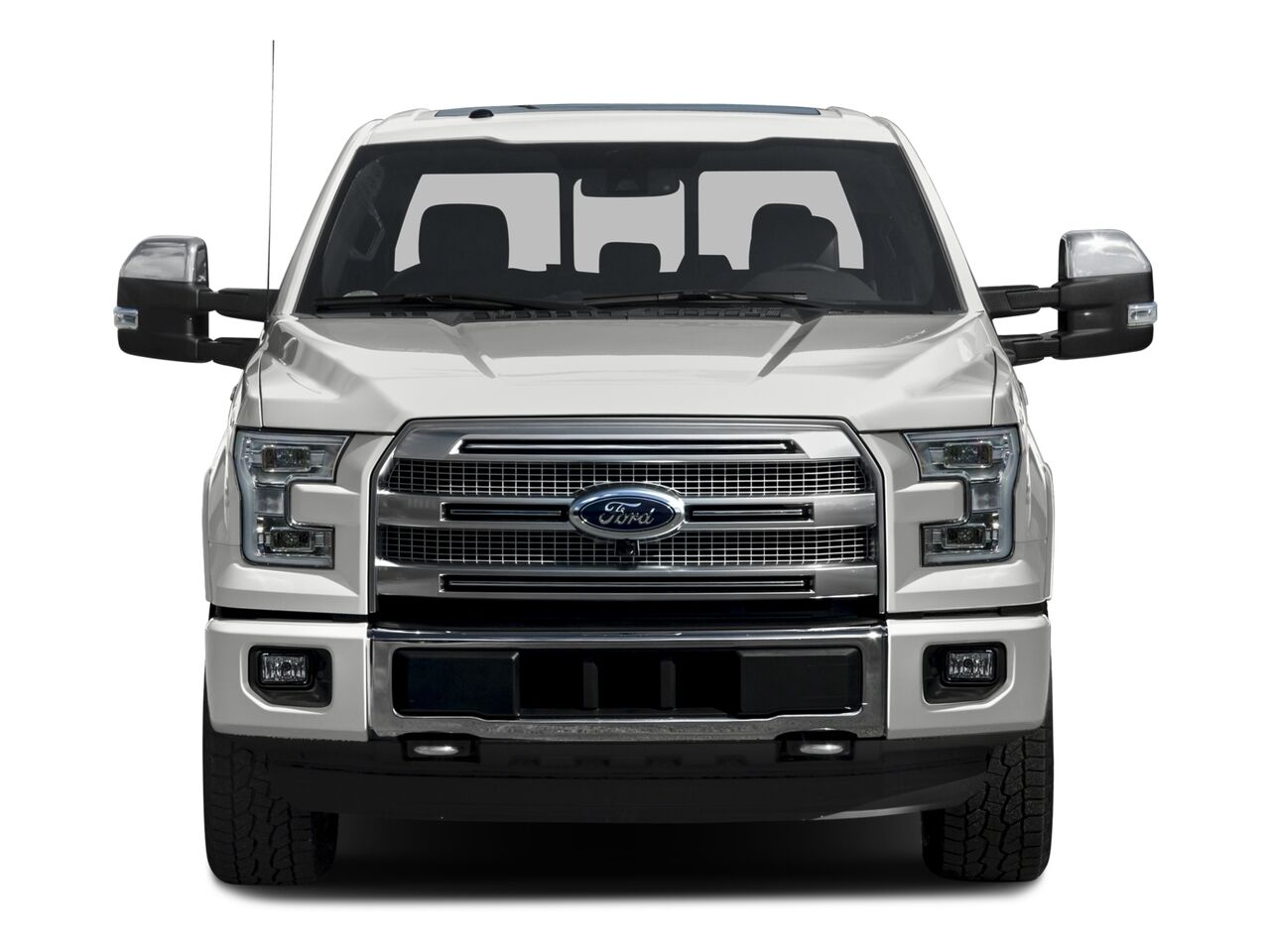 2016 Ford F-150 Platinum Hondo TX