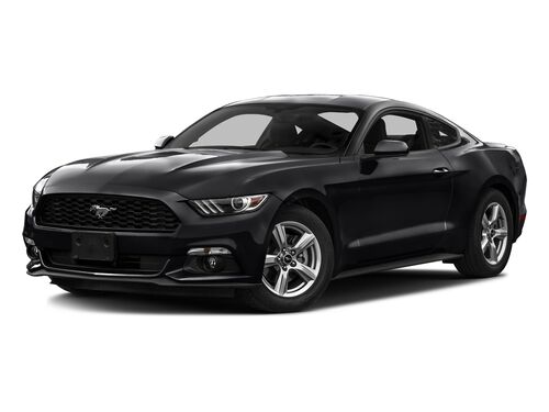 2016 Ford Mustang V6 Tampa FL 2016 Ford Mustang V6 Tampa FL