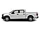2017 Ford F-150  Fond du Lac WI
