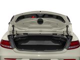 2017 Mercedes-Benz C-Class C 300 Oshkosh WI