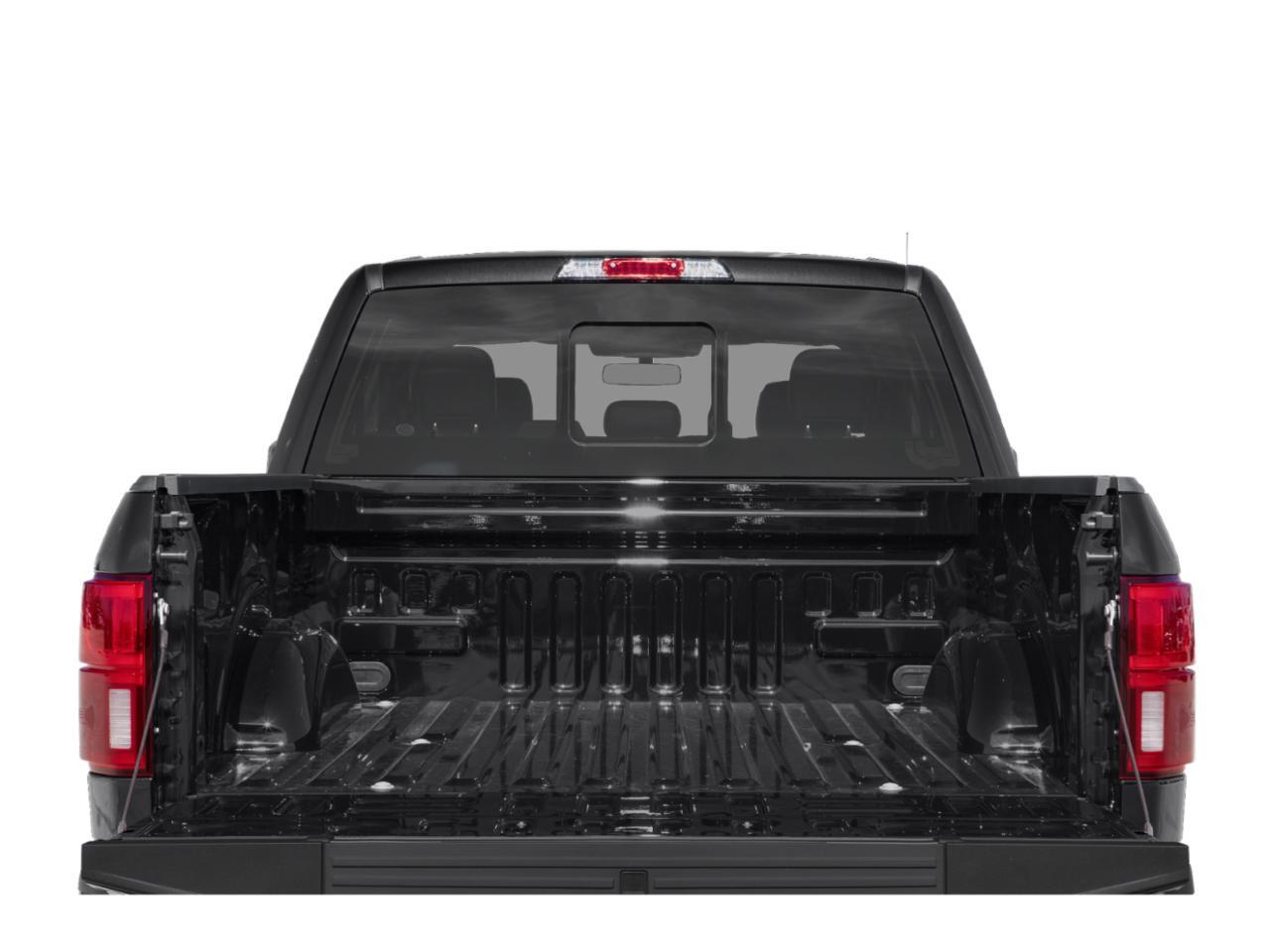 2018 Ford F-150 Platinum Hondo TX