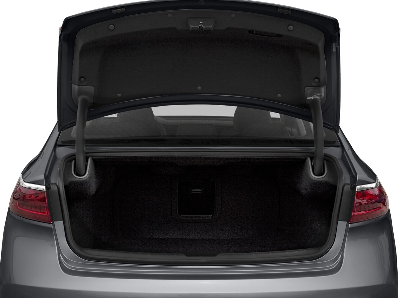 2018 Kia Cadenza Premium Carbondale IL