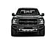 2019 Ford F-150  Fond du Lac WI