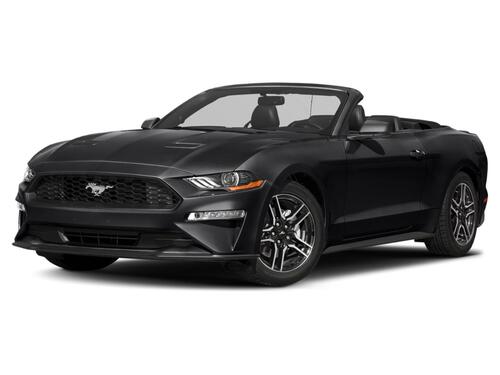 2019 Ford Mustang Tampa FL 2019 Ford Mustang Tampa FL