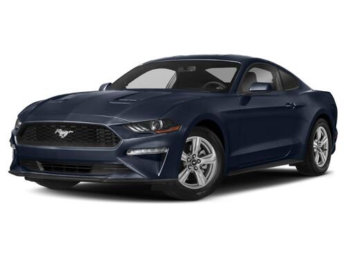 2019 Ford Mustang Tampa FL 2019 Ford Mustang Tampa FL