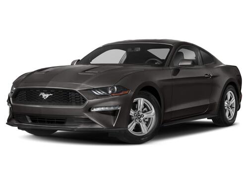 2019 Ford Mustang Tampa FL 2019 Ford Mustang Tampa FL