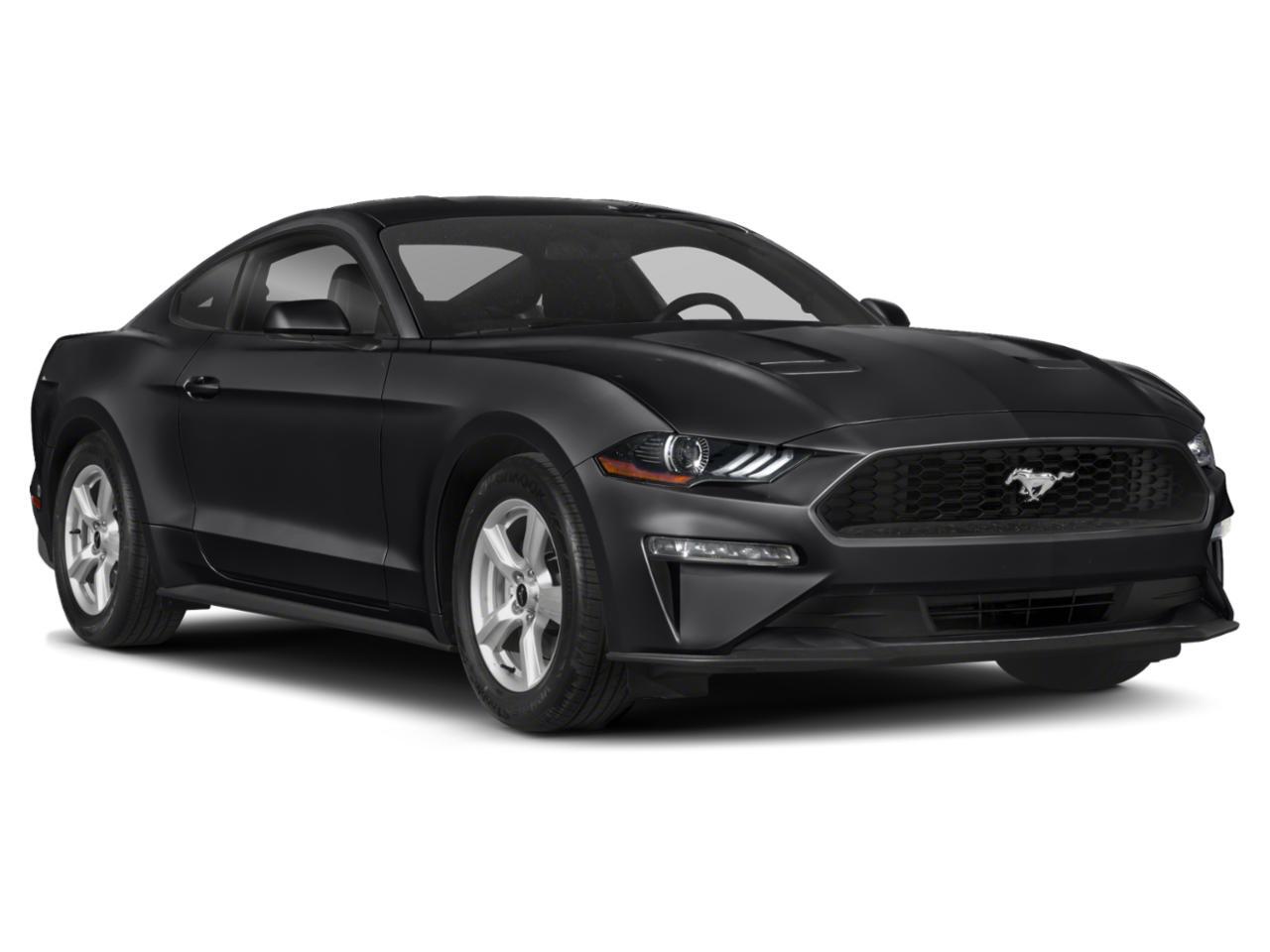 2019 Ford Mustang EcoBoost Chantilly VA
