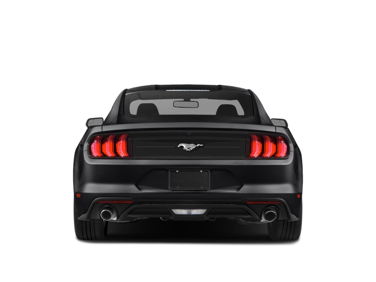2019 Ford Mustang EcoBoost Chantilly VA
