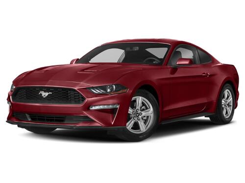 2019 Ford Mustang EcoBoost Premium Tampa FL 2019 Ford Mustang EcoBoost Premium Tampa FL