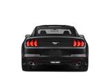 2019 Ford Mustang EcoBoost San Diego County CA