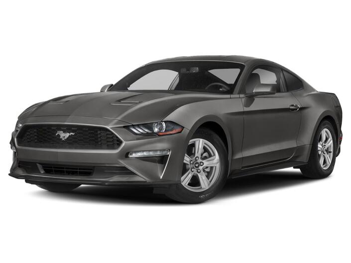 2019 Ford Mustang EcoBoost San Diego County CA