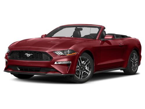 2019 Ford Mustang EcoBoost Tampa FL 2019 Ford Mustang EcoBoost Tampa FL