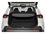 2019 Toyota RAV4 Limited Oshkosh WI