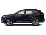 2019 Toyota RAV4 Limited Oshkosh WI