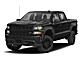 2020 Chevrolet Silverado 1500  Fond du Lac WI
