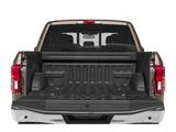 2020 Ford F-150 King Ranch Oshkosh WI