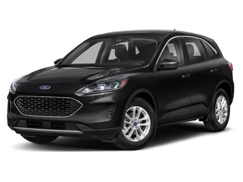 2022 Ford Escape SE Tampa FL 2022 Ford Escape SE Tampa FL