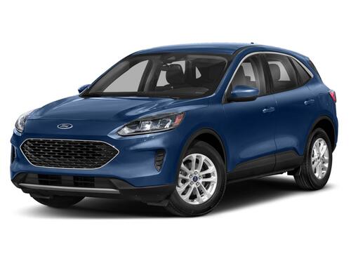 2022 Ford Escape SE Tampa FL 2022 Ford Escape SE Tampa FL