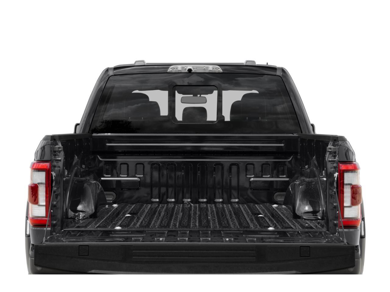 2022 Ford F-150 Raptor Hondo TX