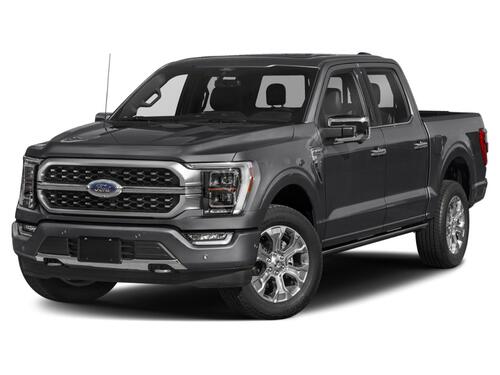 2023 Ford F-150 Platinum Tampa FL 2023 Ford F-150 Platinum Tampa FL