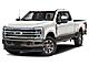 2023 Ford F-250SD  Fond du Lac WI
