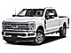 2023 Ford F-250SD  Fond du Lac WI