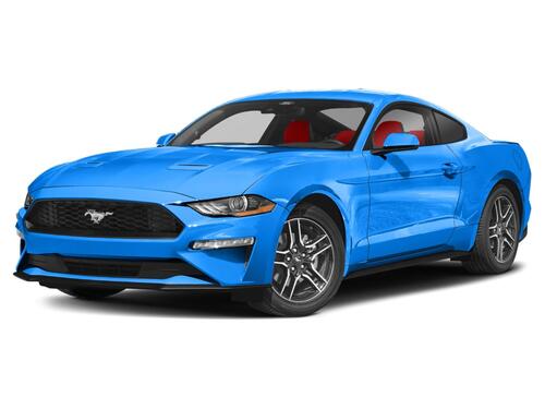 2023 Ford Mustang EcoBoost Tampa FL 2023 Ford Mustang EcoBoost Tampa FL