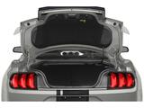 2023 Ford Mustang GT Oshkosh WI