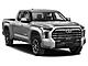 2023 Toyota Tundra Limited Bozeman MT