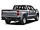 2024 Chevrolet Silverado 1500  Fond du Lac WI