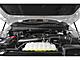 2024 Ford Expedition Max  Fond du Lac WI
