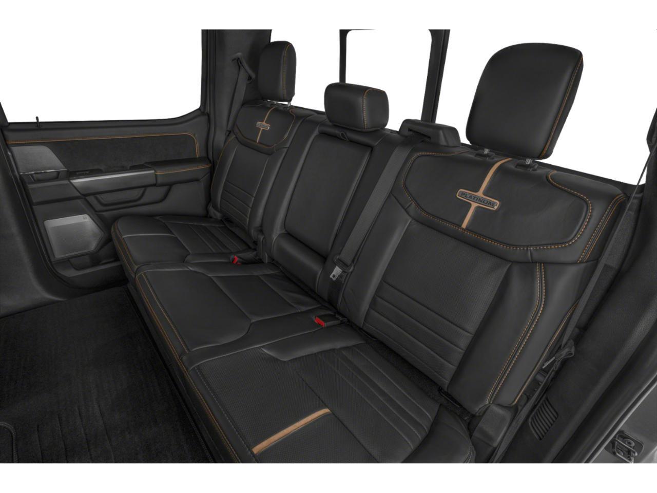 2024 Ford Super Duty F-250 SRW Platinum Irving TX