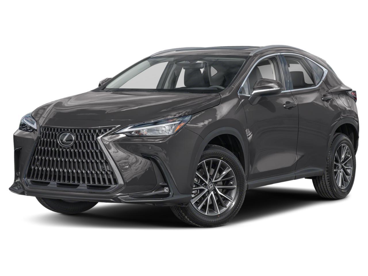 2024 Lexus NX 250