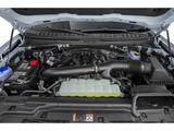 2025 Ford Expedition Active San Diego County CA