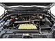 2025 Ford Expedition Max Platinum Milwaukee WI