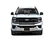 2025 Ford Expedition Max Platinum Milwaukee WI