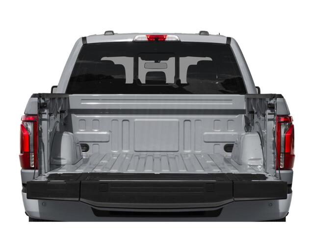 2025 Ford F-150 Platinum  TX