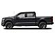 2025 Ford F-150 Platinum Milwaukee WI