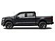 2025 Ford F-150 Platinum Oshkosh WI 2025 Ford F-150 Platinum Oshkosh WI