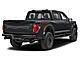 2025 Ford F-150 Raptor Milwaukee WI