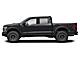 2025 Ford F-150 Raptor Milwaukee WI